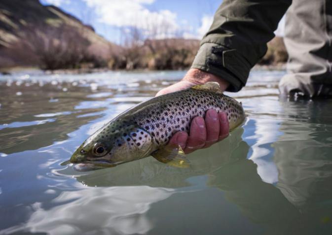 Welcome to the Blog! - Tenkara Rod Co.