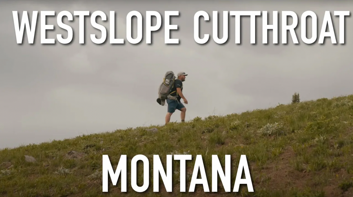 WNTI Challenge Episode 11 - Westslope Cutthroat