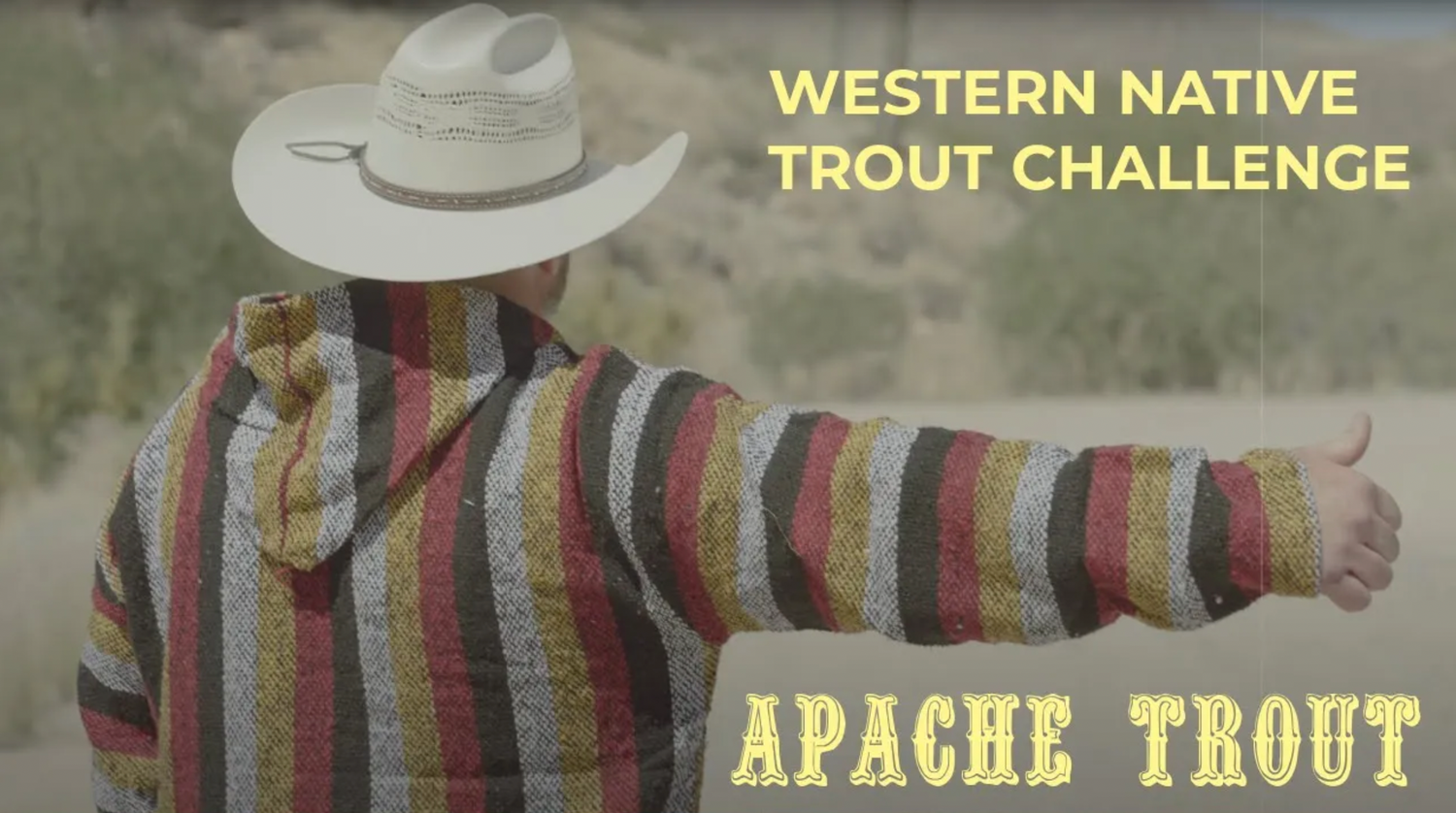 WNTI Challenge Episode 8 - Apache Trout