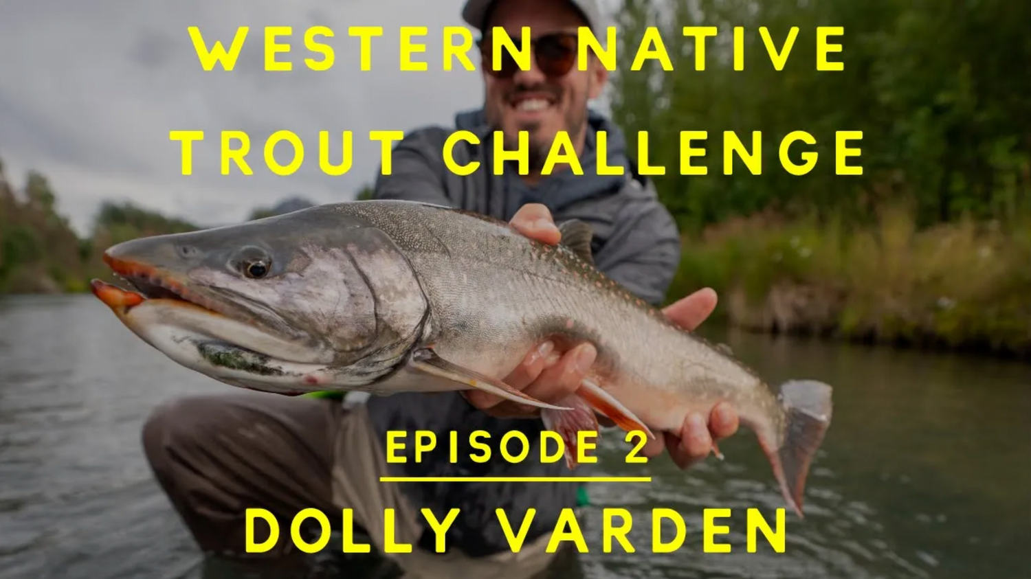 WNTI Challenge Episode 2 - Dolly Varden