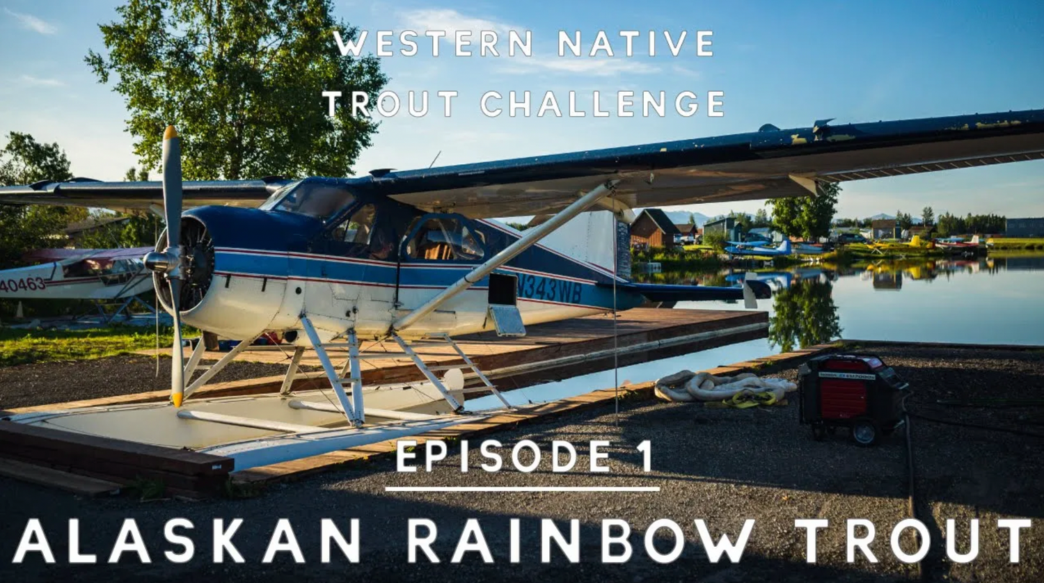 WNTI Challenge Episode 1 - Alaskan Rainbow