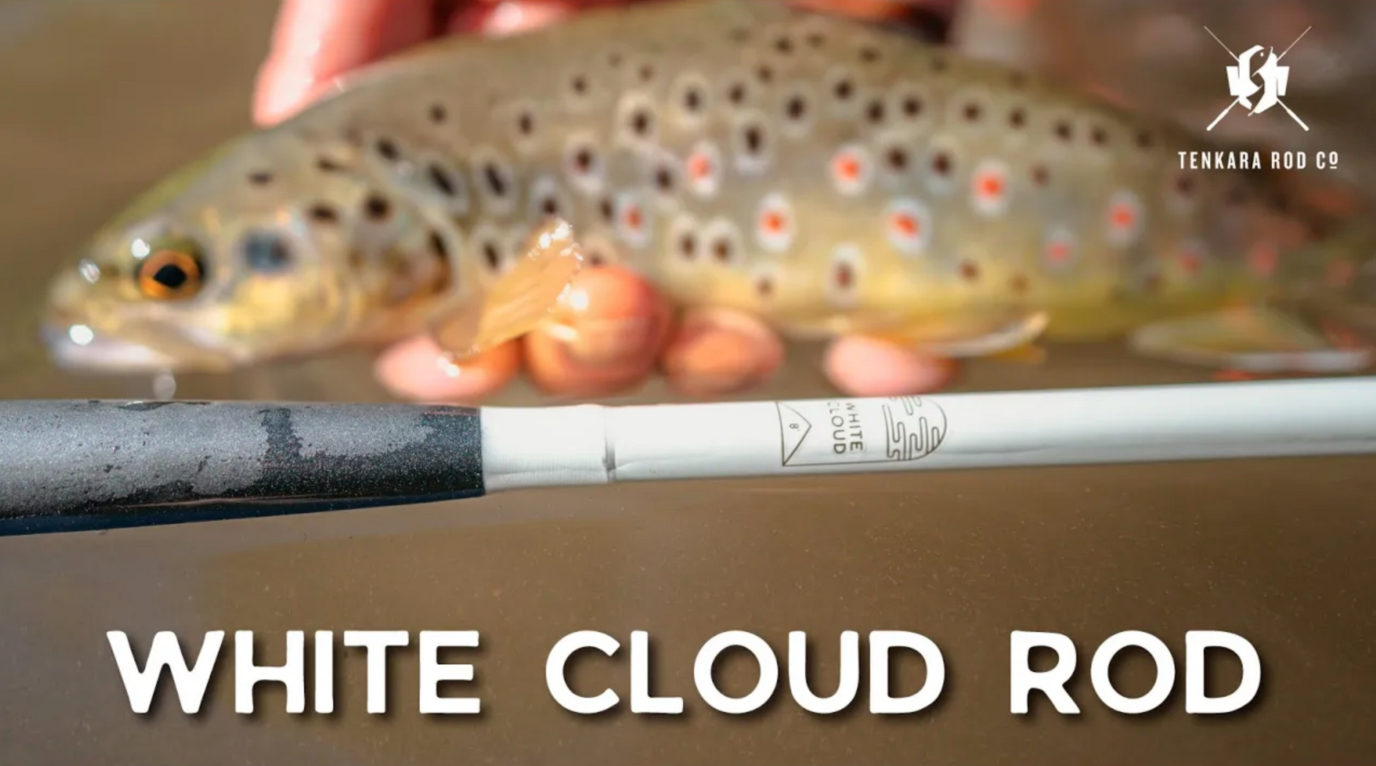 The White Cloud Rod