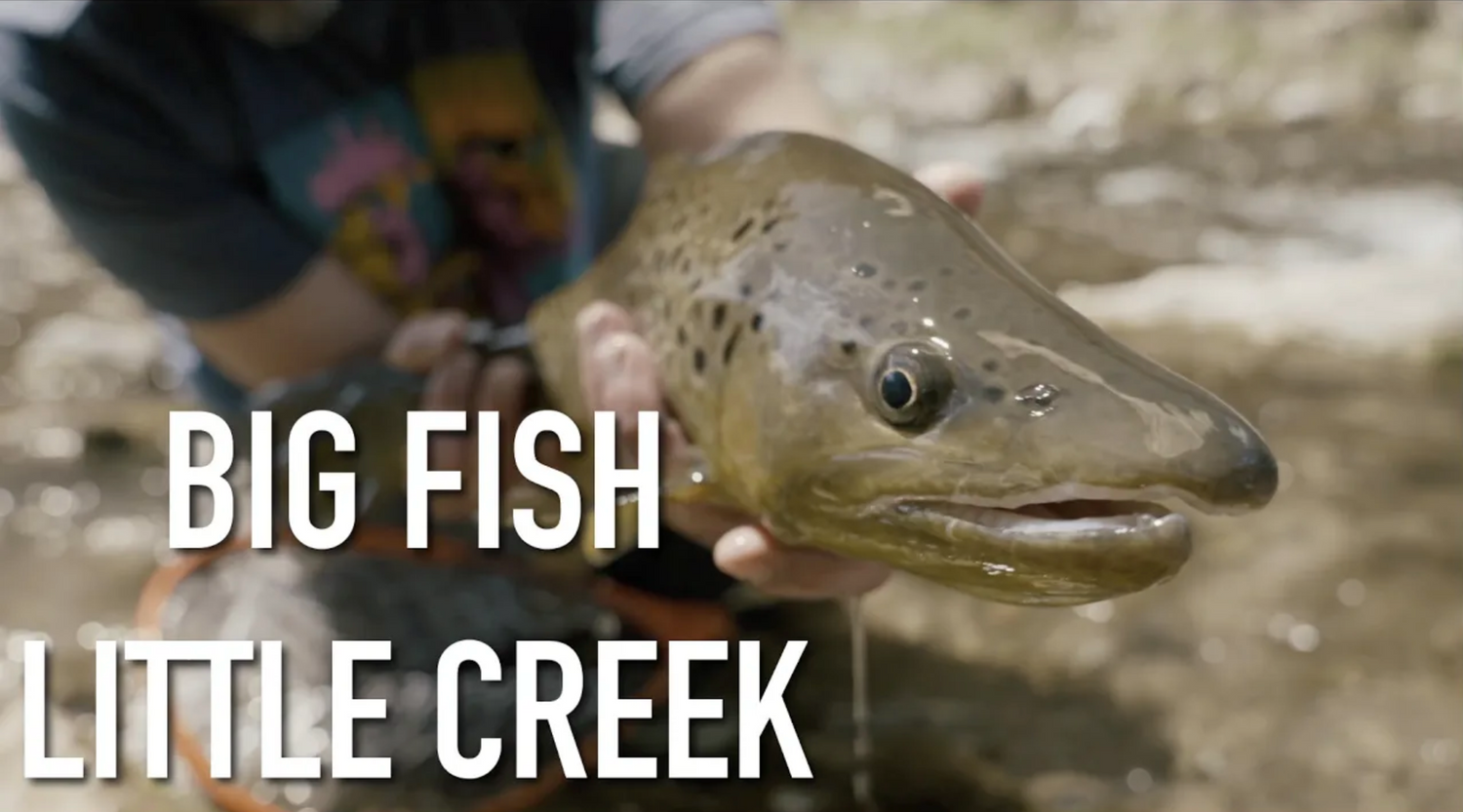 WNTI Episode 12 - Bonneville Cutthroat Trout