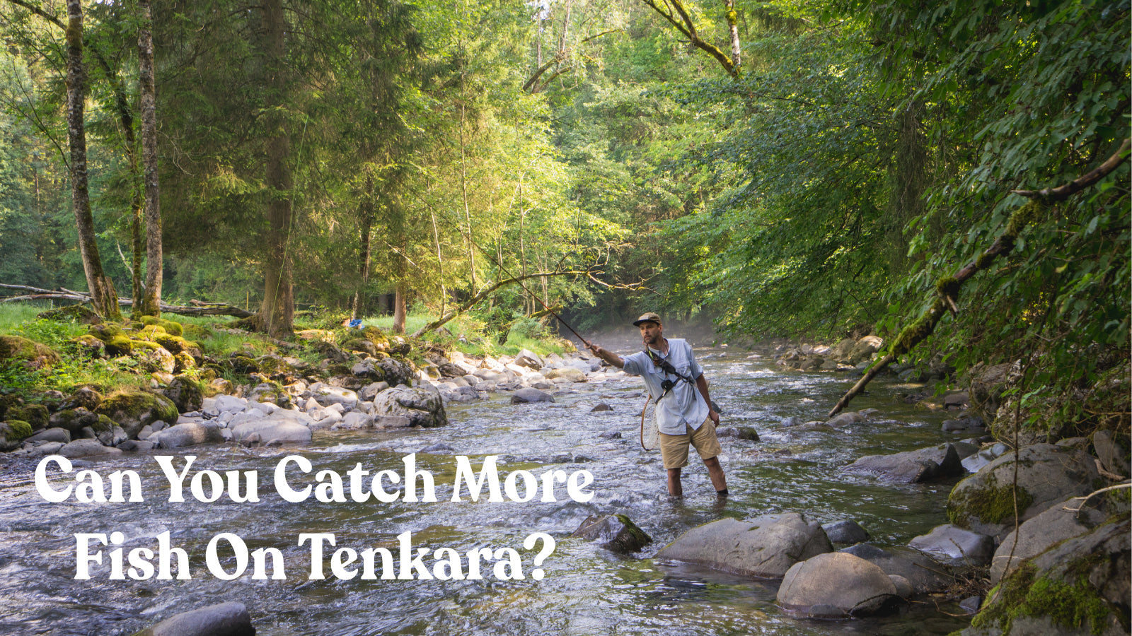 Can you catch more fish on Tenkara?