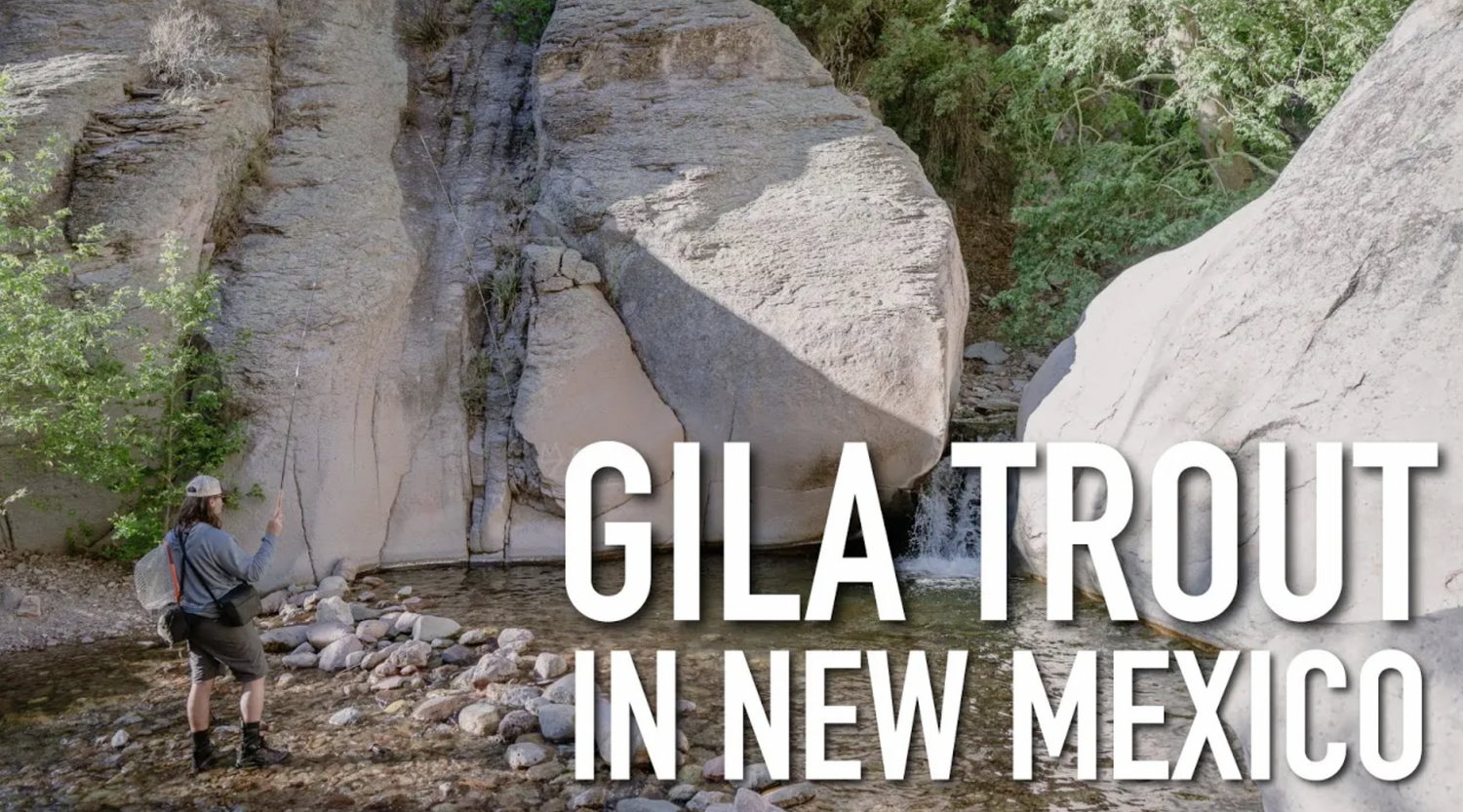 WNTI Challenge Episode 9 - Gila Trout