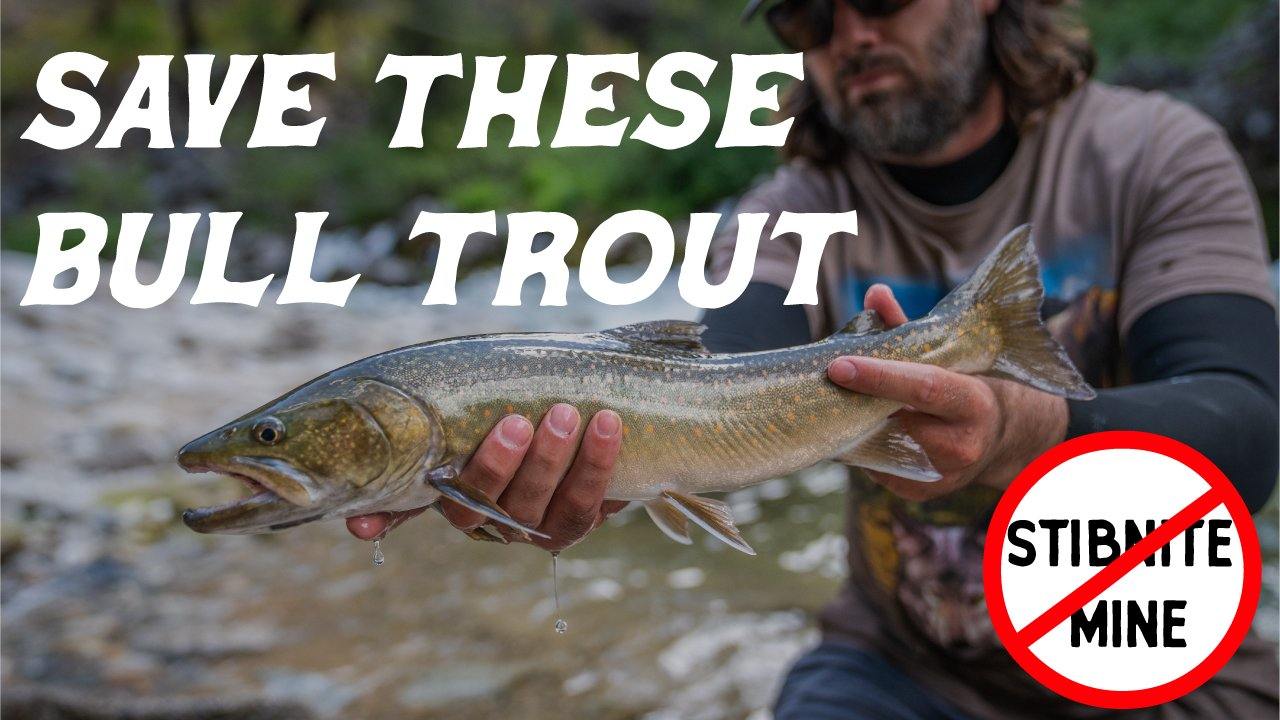 Save the South Fork of the Salmon River - Tenkara Rod Co.