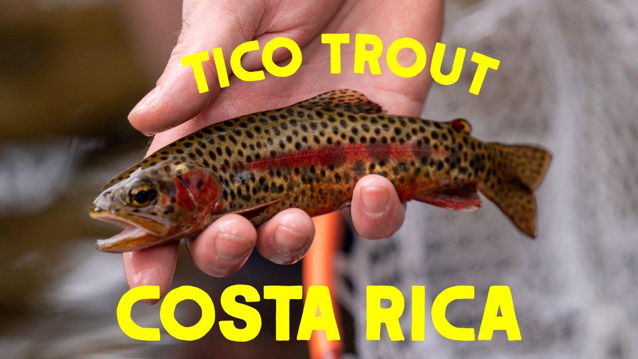 Tenkara Fishing for Tico Trout in Costa Rica - Tenkara Rod Co.