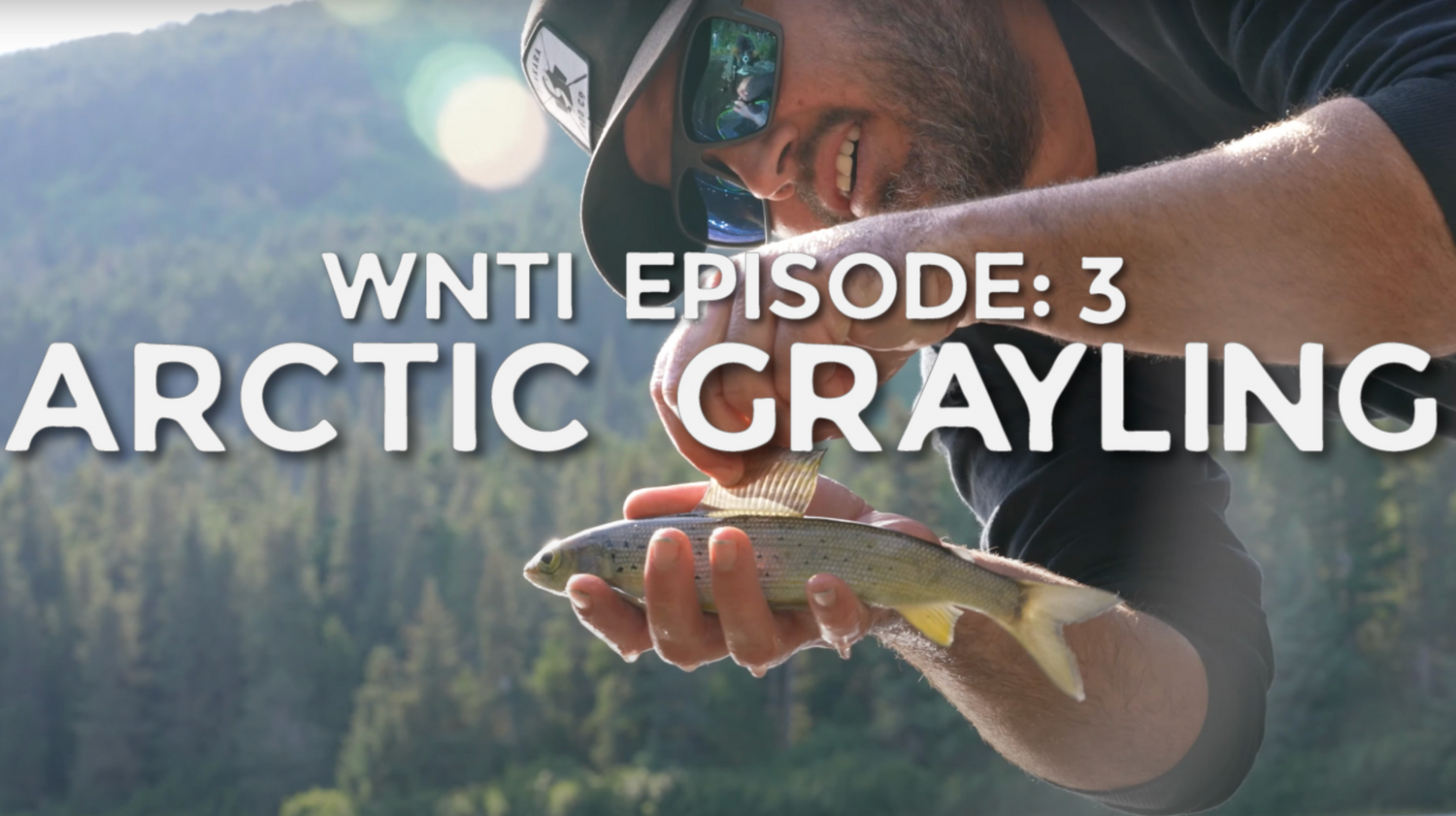Western Native Trout Challenge Episode 3/18 - Arctic Grayling