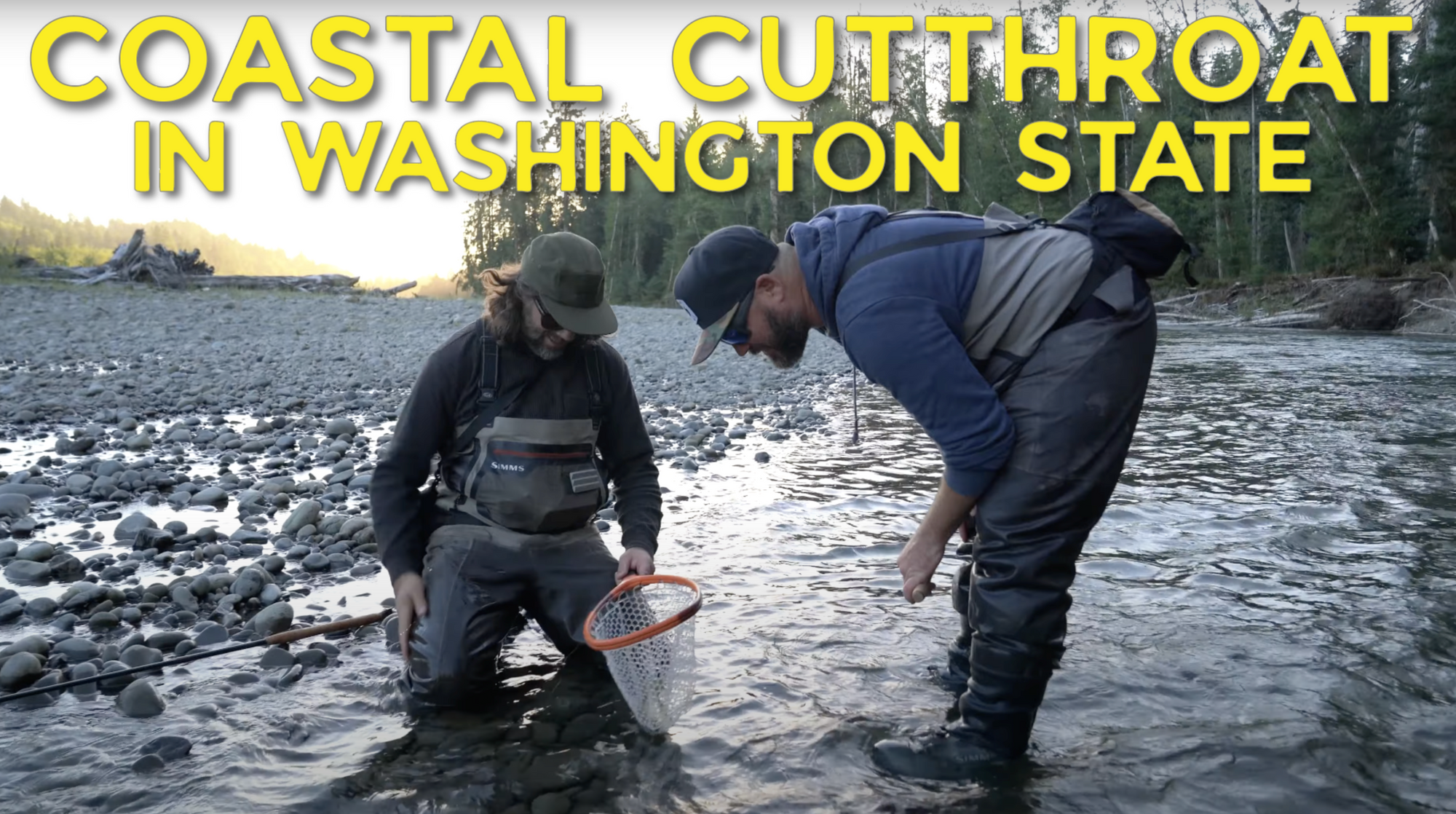 Coastal Cutthroat in Washington