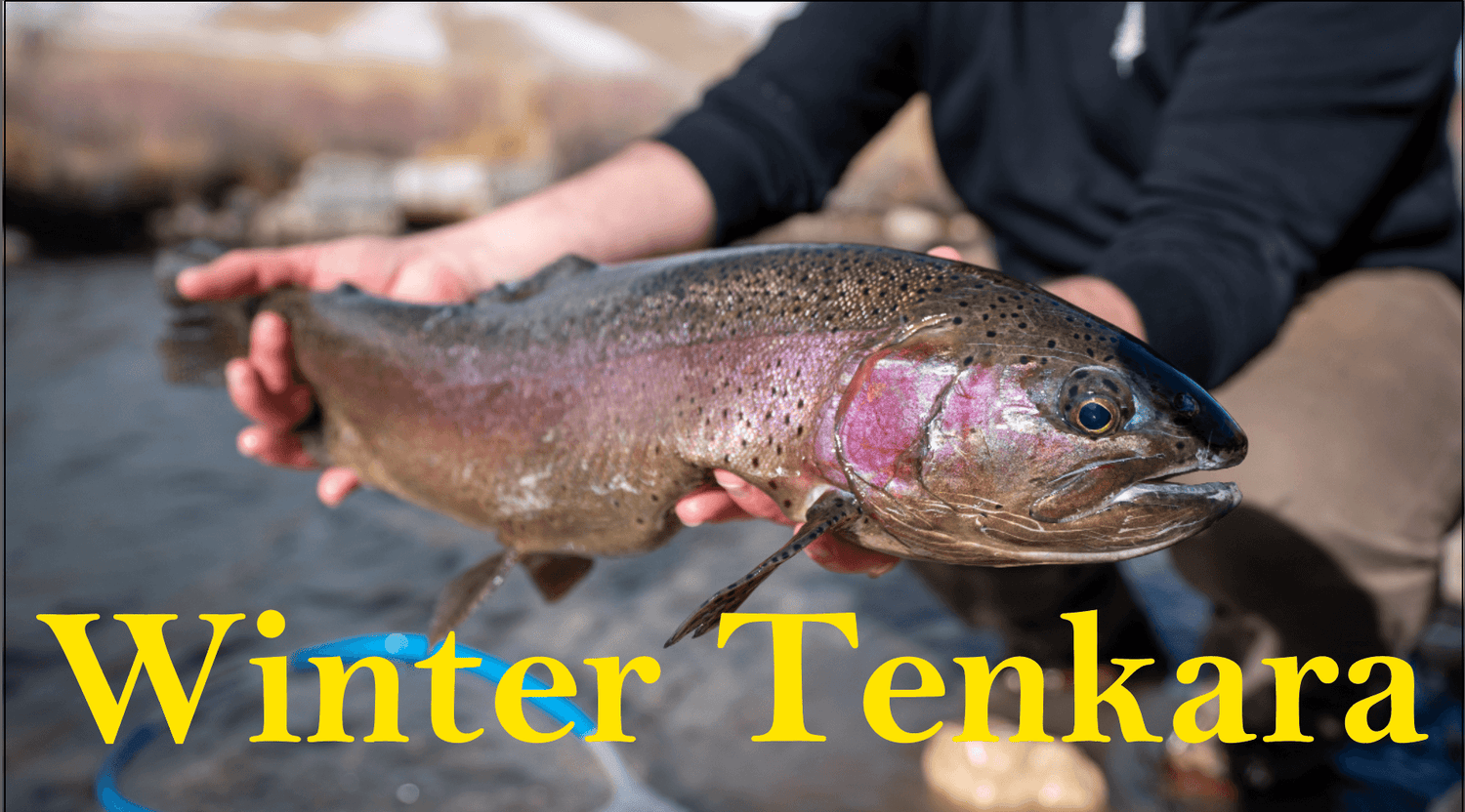 Winter Tenkara Fishing