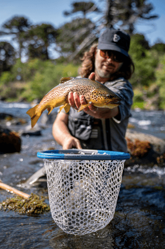 Carbon Fiber Landing Net - Medium