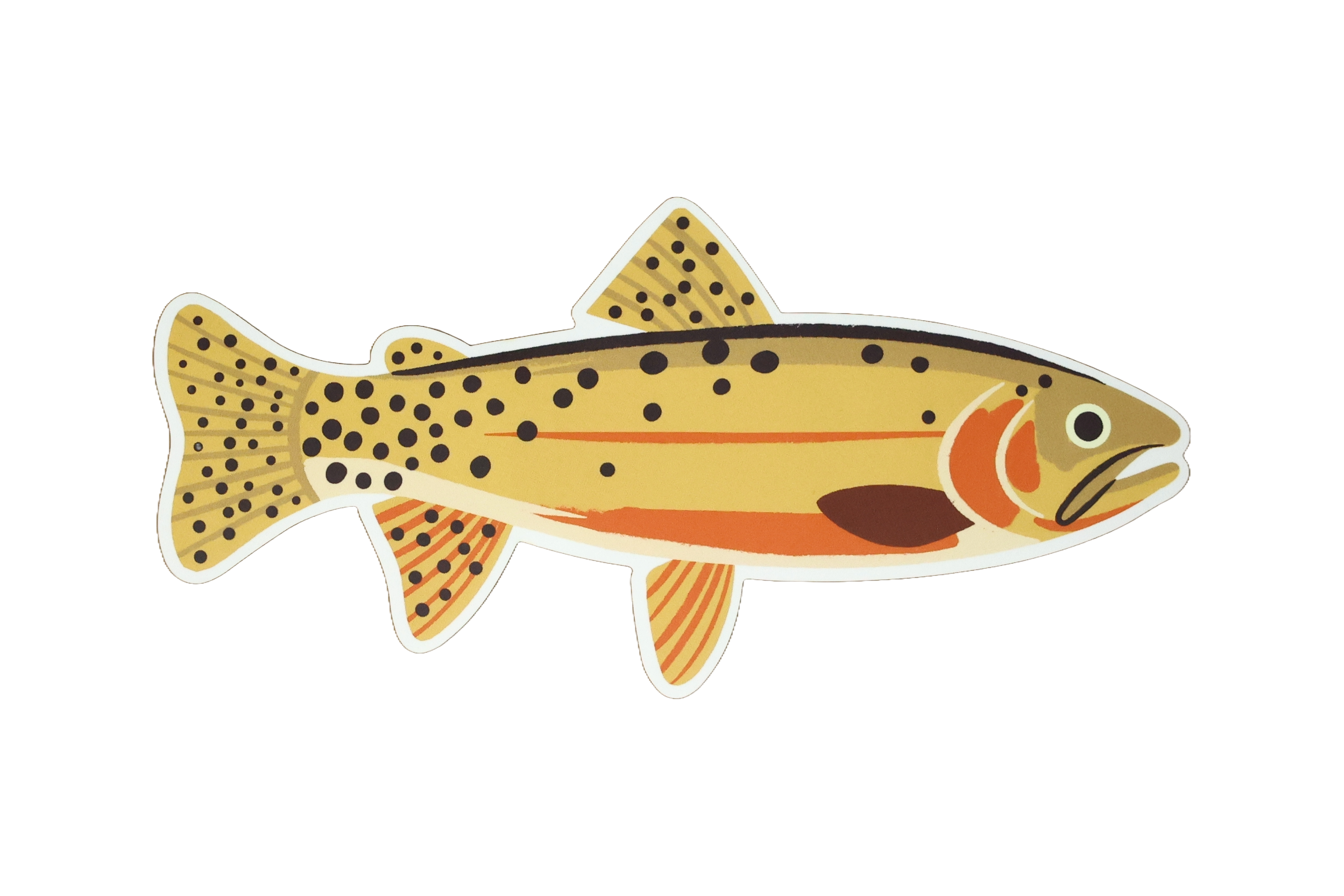 Native Trout Sticker