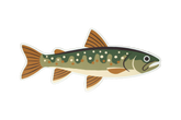 4 Pack of Trout Stickers