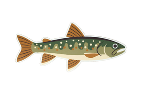 8 Pack of Trout Stickers