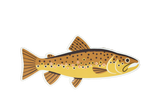 8 Pack of Trout Stickers