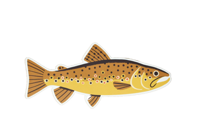 8 Pack of Trout Stickers