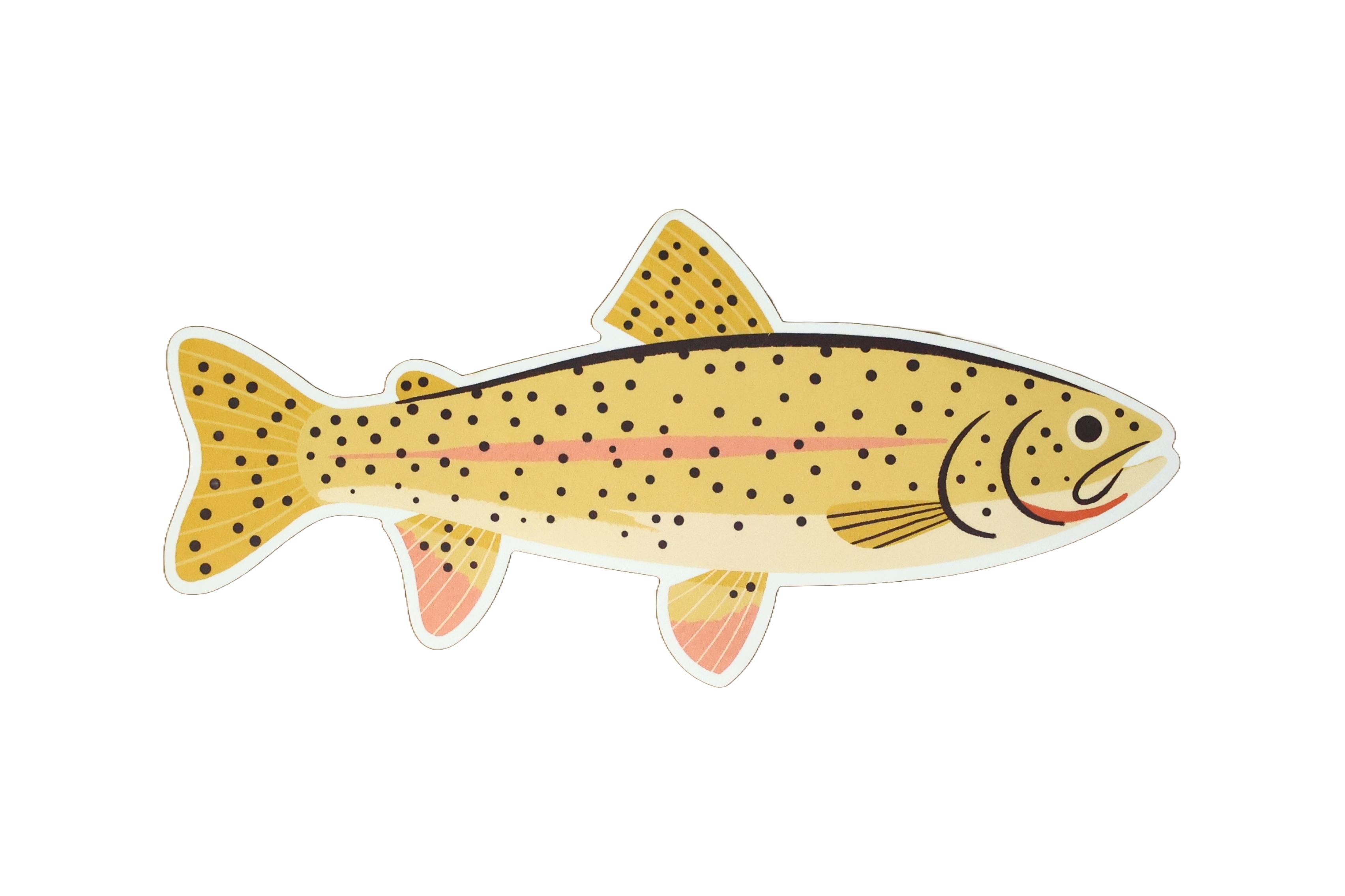 Native Trout Sticker