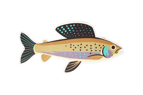 8 Pack of Trout Stickers