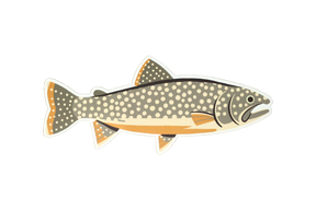 Native Trout Sticker