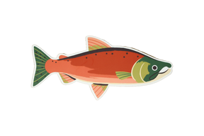 8 Pack of Trout Stickers