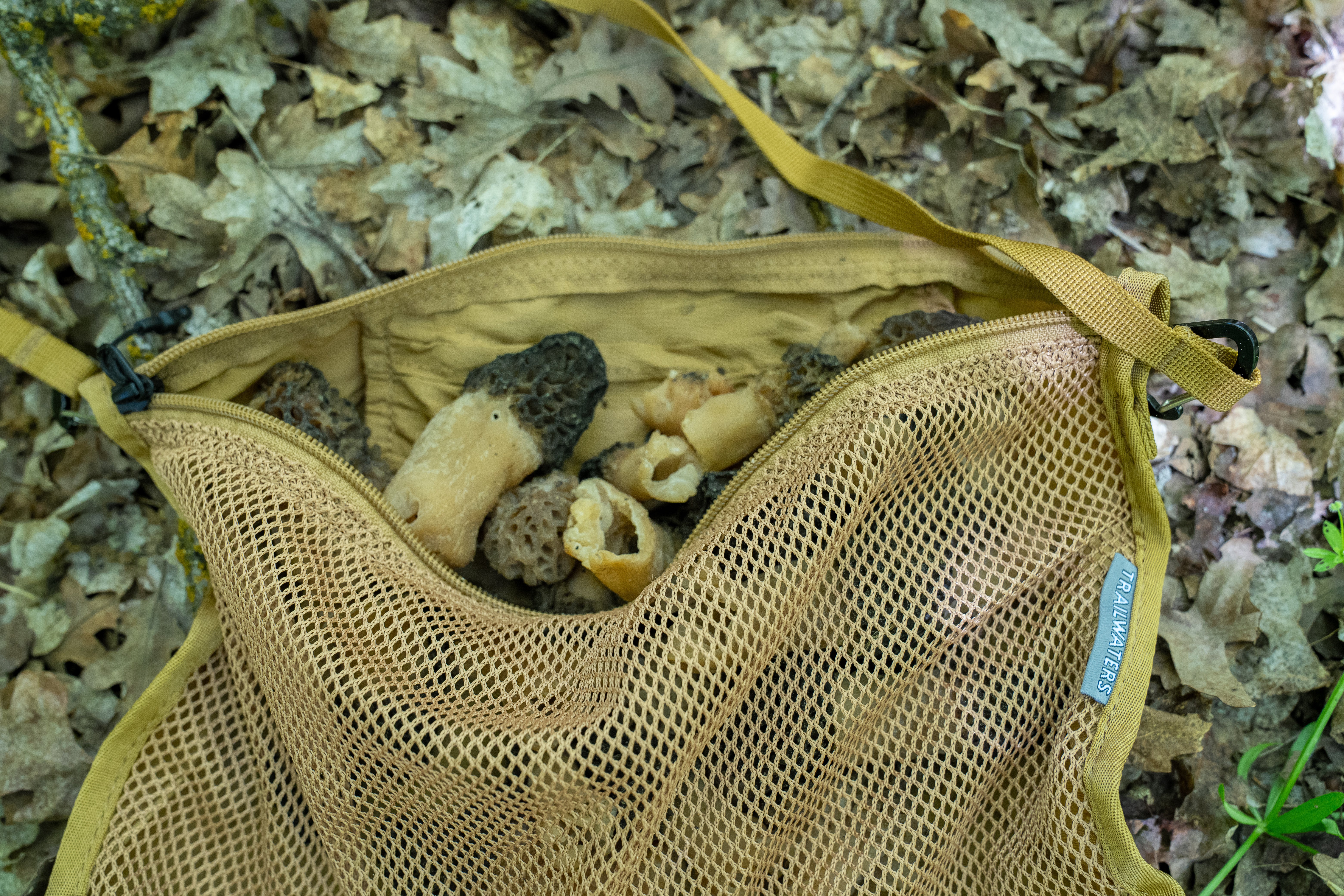 Forager Bag