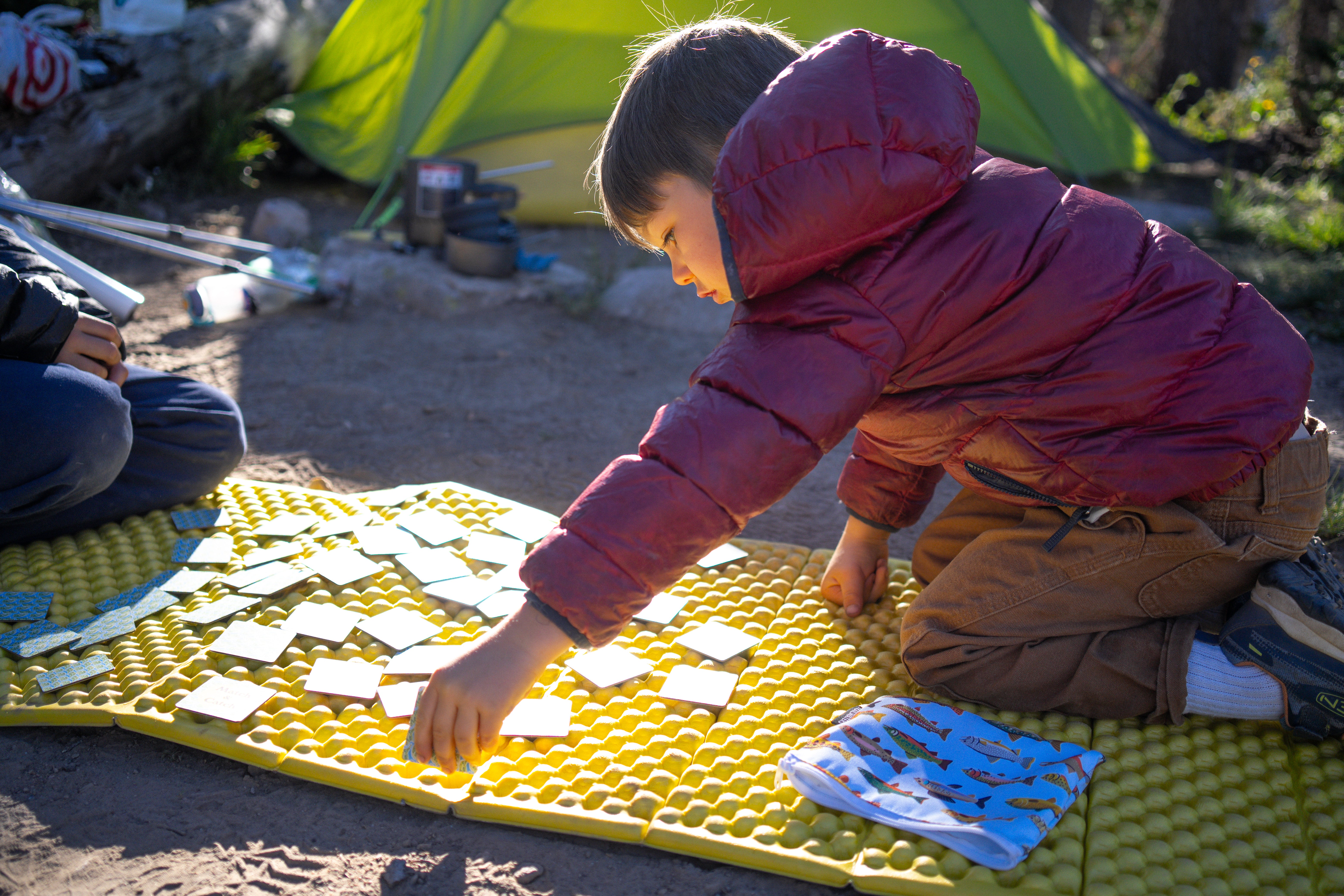 Match and Catch Native Trout Memory Game
