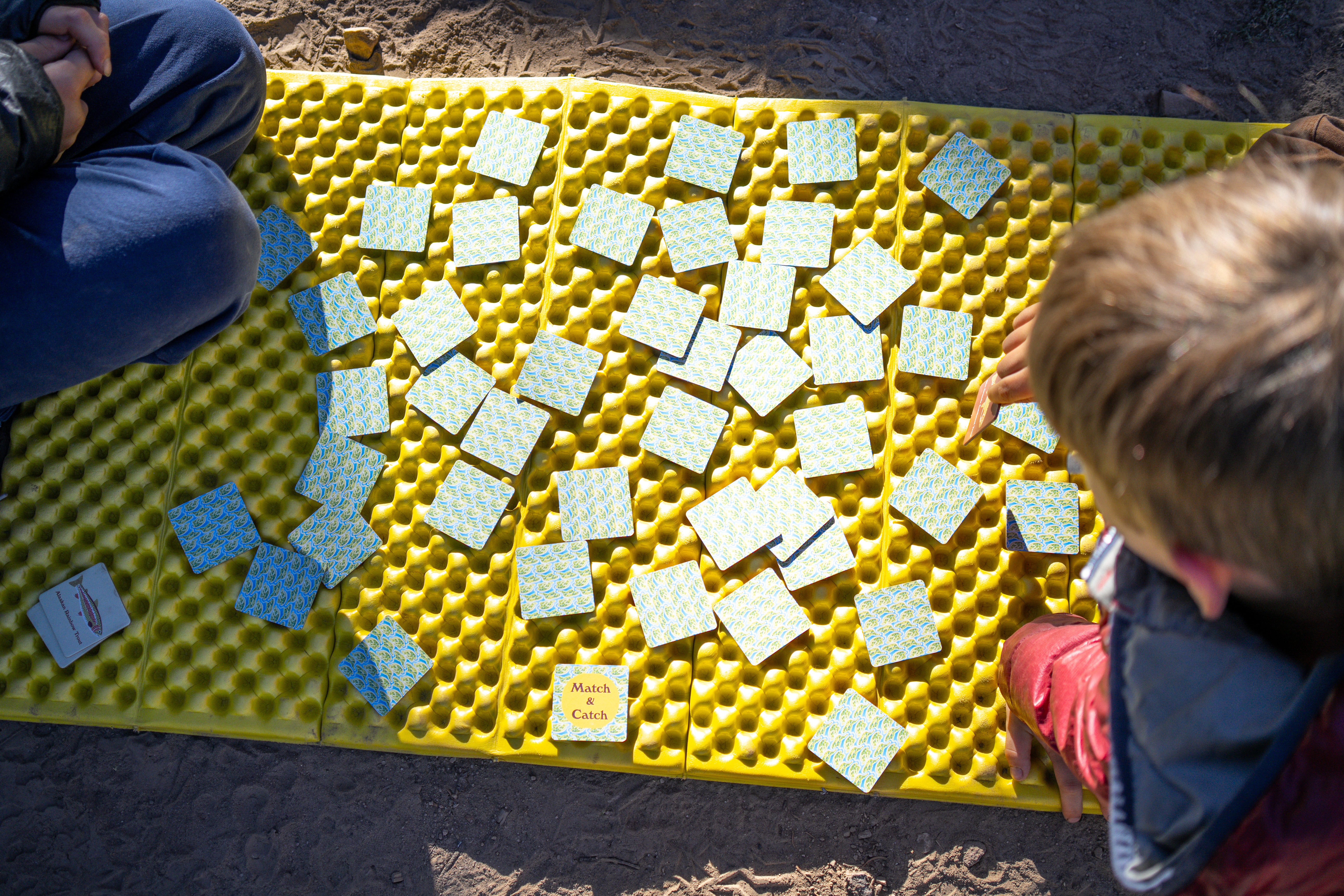 Match and Catch Native Trout Memory Game