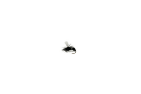 Tunas Pick - 5 Dry Fly Assortment - Tenkara Rod Co.