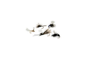 Tunas Pick - 5 Dry Fly Assortment - Tenkara Rod Co.